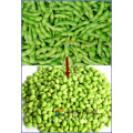 Electric Green Pea/Soybean/Chickpea Shell Peeling Machine